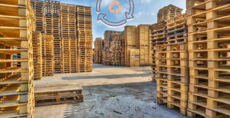 Pallet in legno, più igienico e sostenibile - Logistica